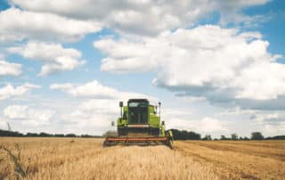 Agriculture Committees Harvesting SNAP Savings to Feed Agribusiness