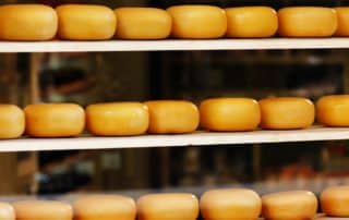 Dairy Subsidies: The Big Cheese Giveaway