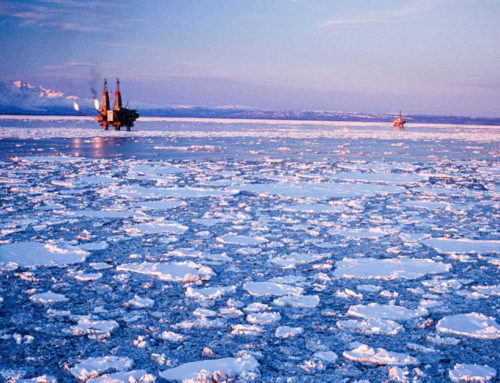 Climate Change in the Arctic and the Price Paid by Taxpayers