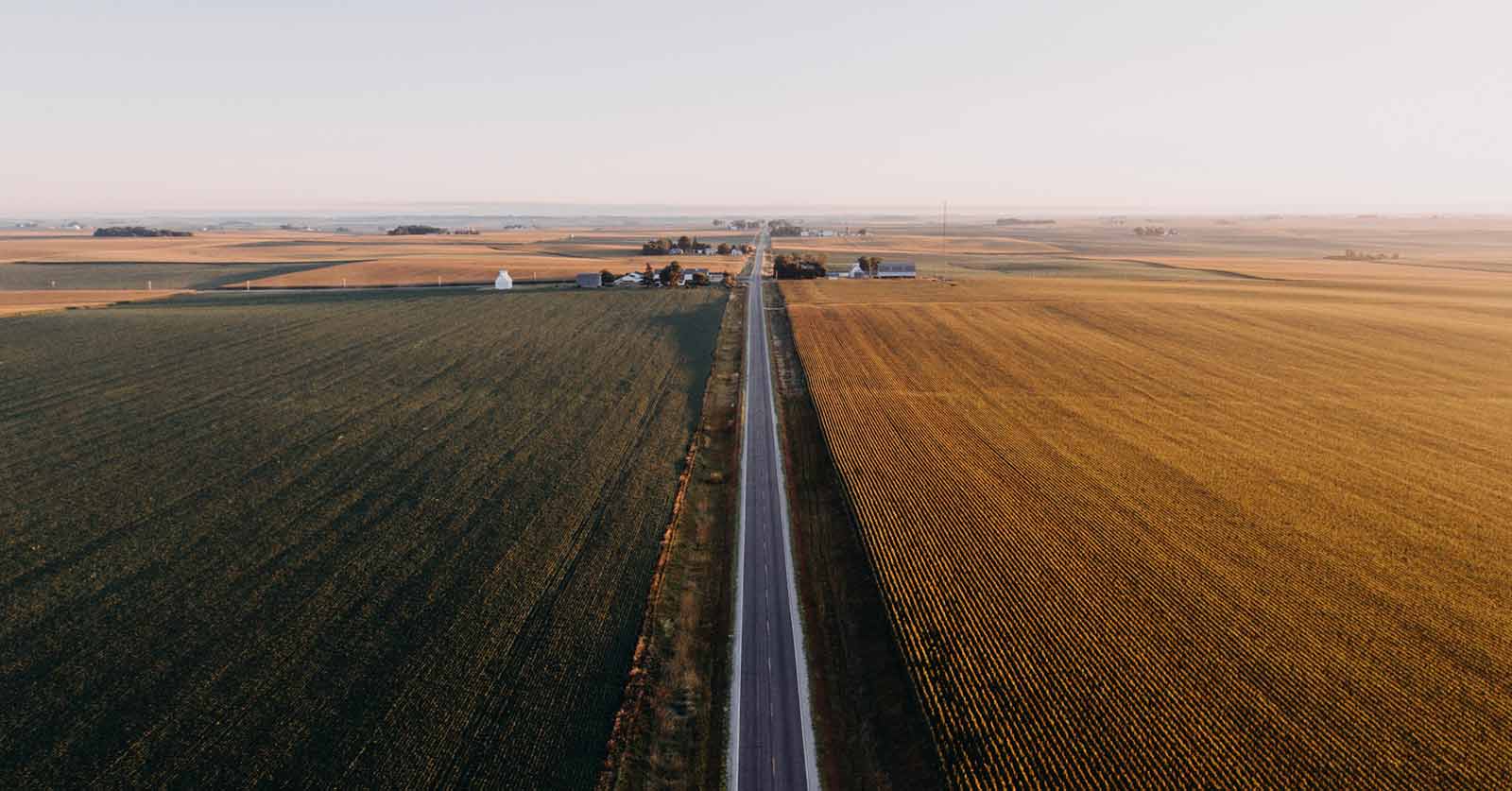 A road splitting a farm