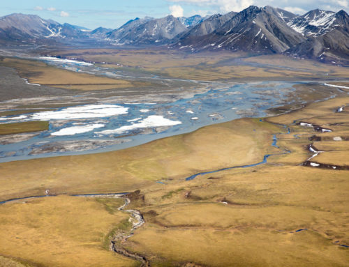 Interior Department Announces New Arctic Refuge Oil and Gas Lease Sale for January