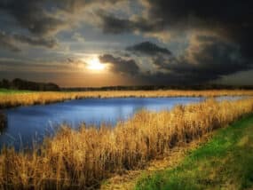 Prairie wetlands