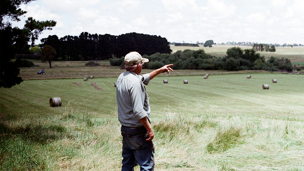 Farmer pointing into the distance with field in the backround littered with rolled hay.