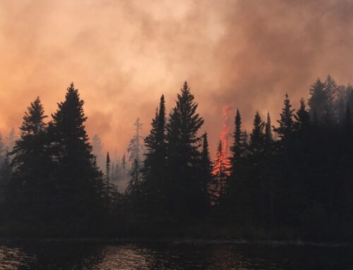 Transparency & Accountability in Wildfire Spending