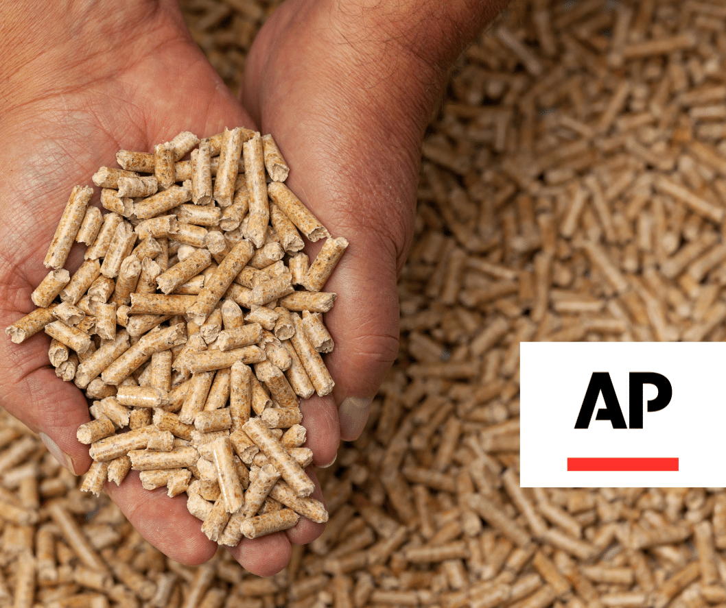 A hand holding wood pellets