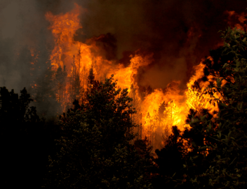 Wildfire Funding Boost in Draft FY2025 Spending Bills