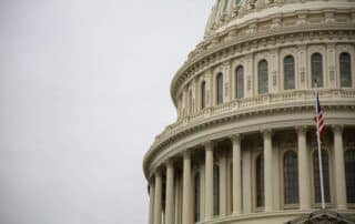 left side profile image of the US capitol dome