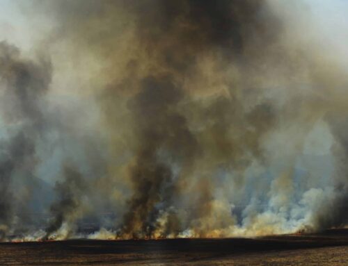 Clearing the Smoke on Wildfire Spending: Database Edition