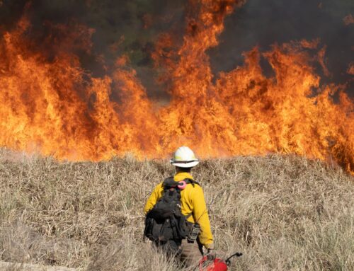 Taxpayers for Common Sense Unveils Comprehensive Database on Federal Wildfire Spending