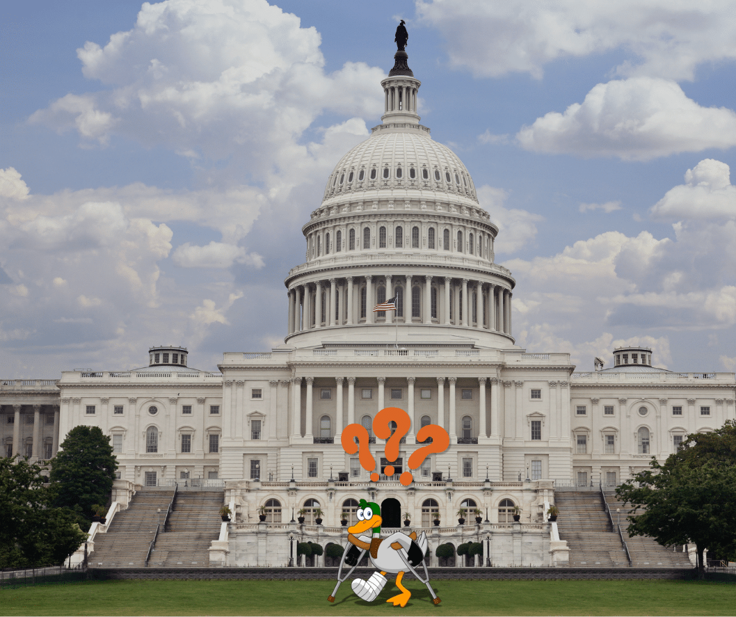 Animated wounded duck with questions marks and a high quality image of the US capitol in the background