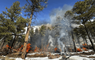 Pile burning near Las Trampas