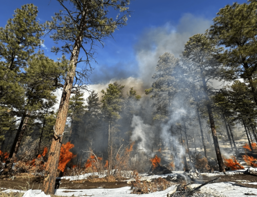 National Prescribed Fire Act 