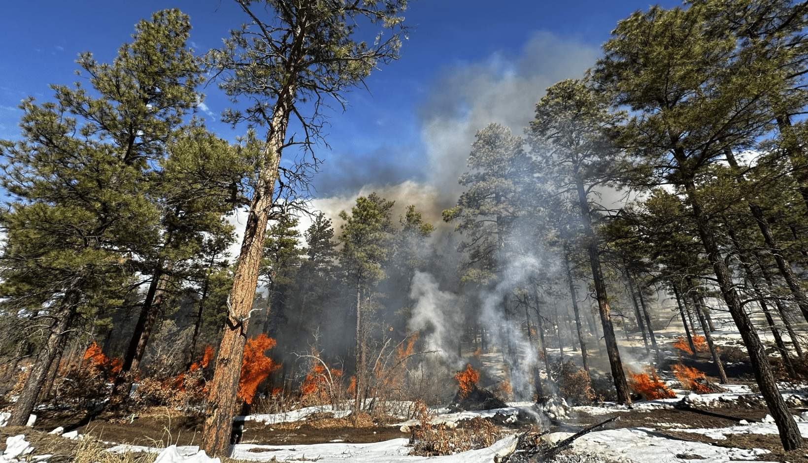 Pile burning near Las Trampas