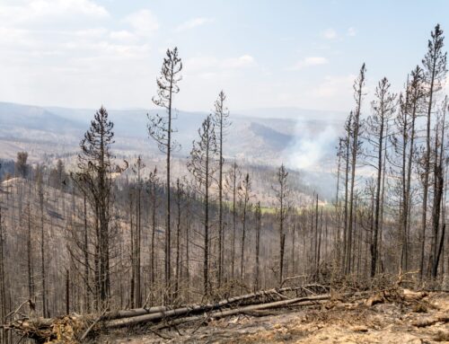 Shared Principles for Wildfire Funding Accountability and Transparency