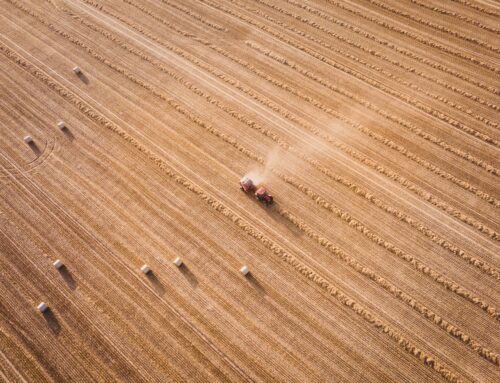 USDA Unveils Plans for $10 billion in Stop-Gap Farm Bill Subsidies